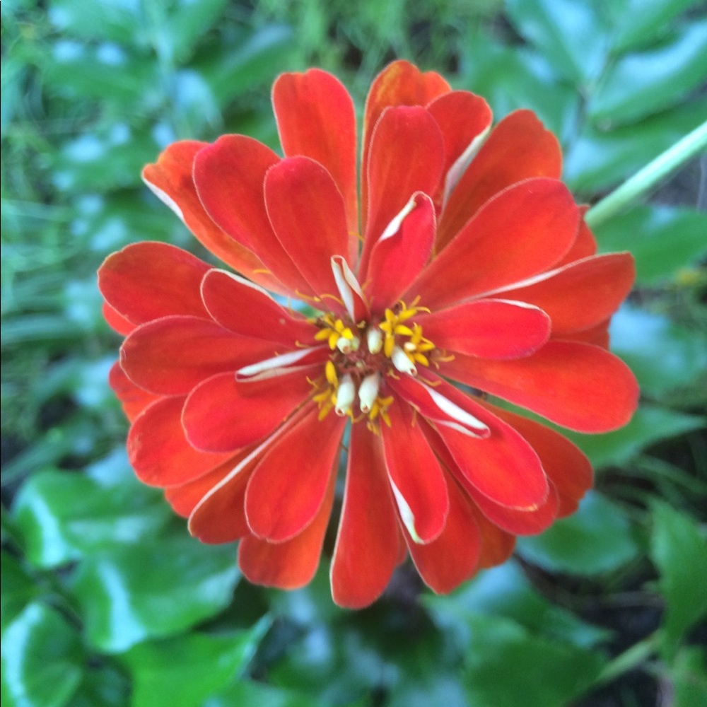 Meet your Posher, Elijah